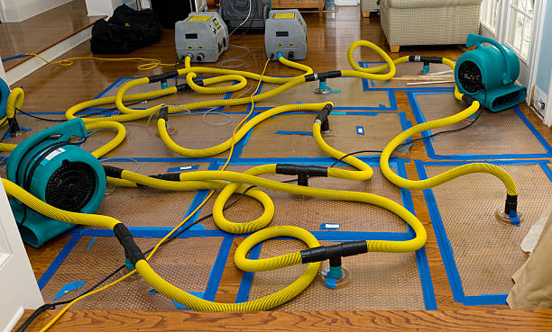 Professional Basement Flood Cleanup technician working in Pinson, AL